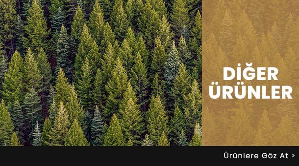 Kent Ahşap Orman Ürünleri